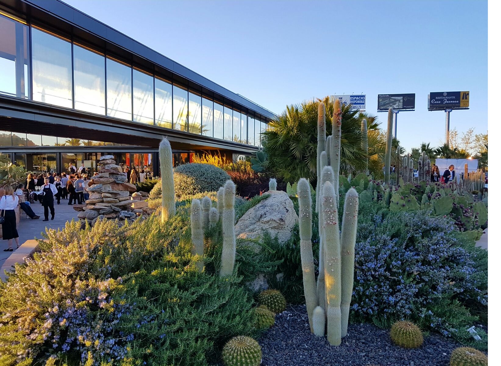 Desert City – fachada de vidrio curvado en arquitectura contemporánea